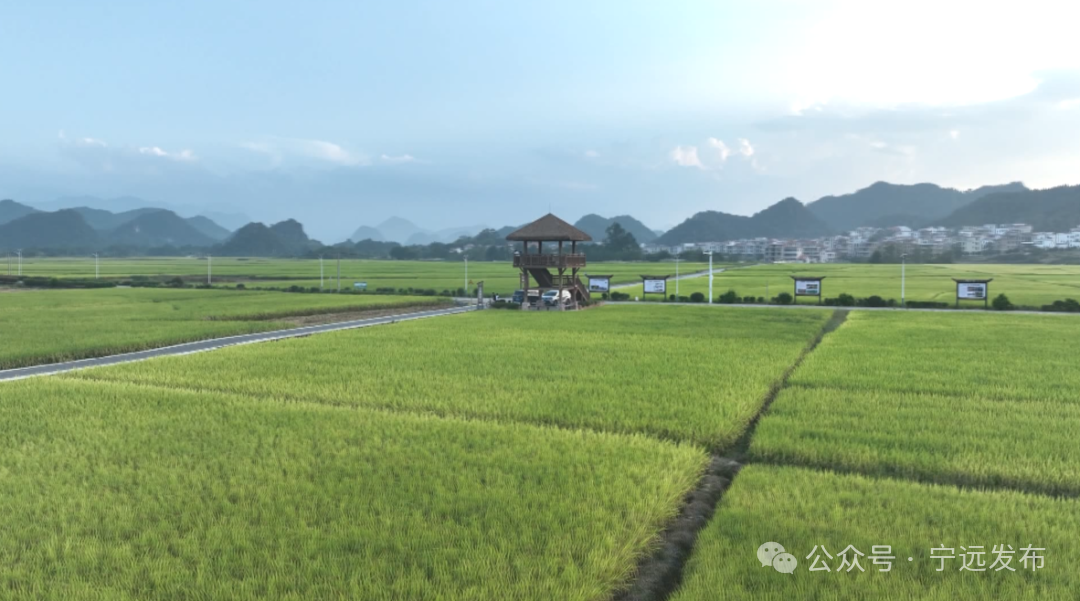 宁远：“一山一城”绘就生态惠民新图景