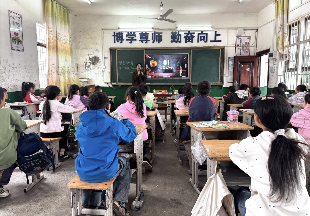 新邵县潭溪镇中心小学：编织“防毒安全网” 守护成长乐园