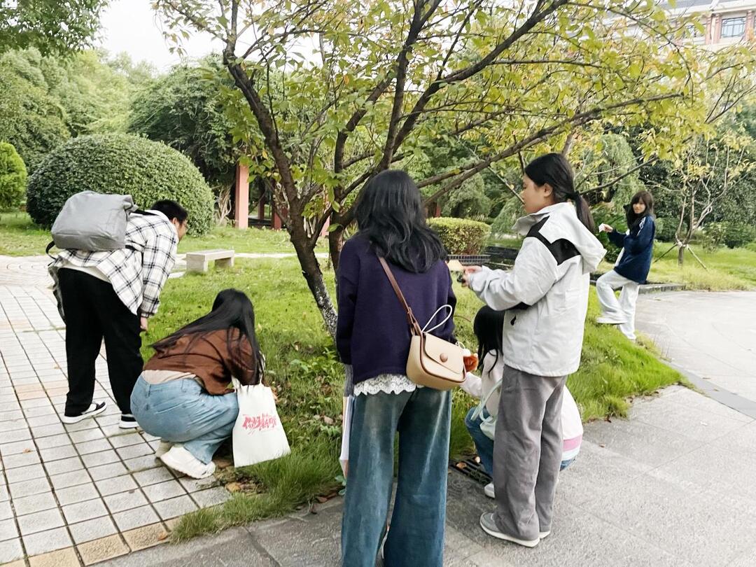 长沙民政职院软件学院成功开展“霜降茶韵，茶香拾趣”活动