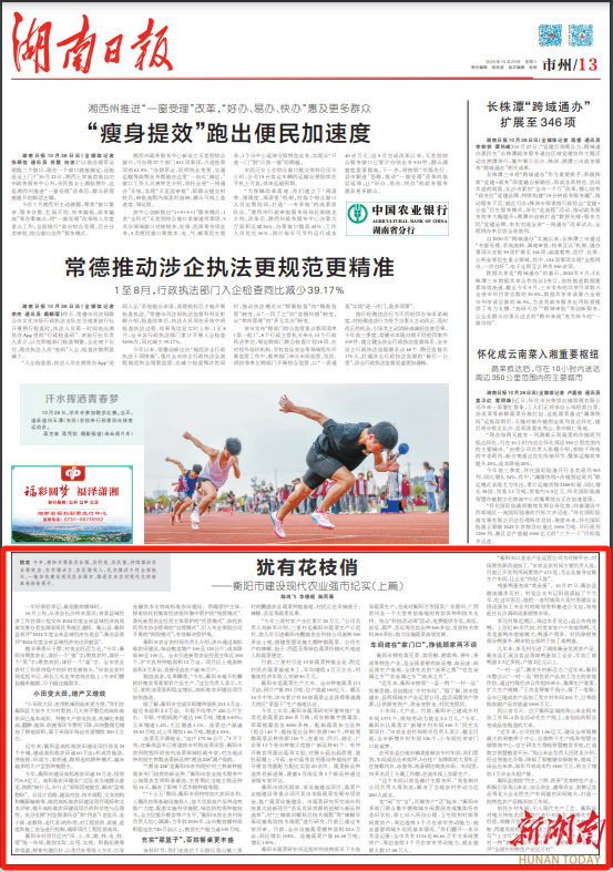 犹有花枝俏——衡阳市建设现代农业强市纪实(上篇)丨湖南日报