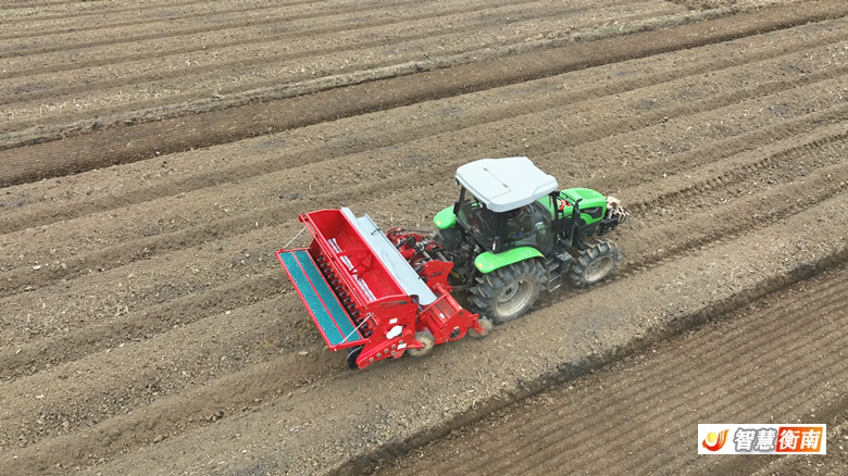 衡南:千亩油菜示范基地启用“智慧农机” 机械化种植开启丰产新篇