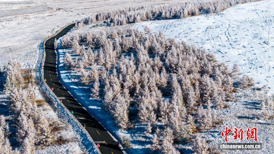 赏秋日雾凇：一半金黄一半雪白