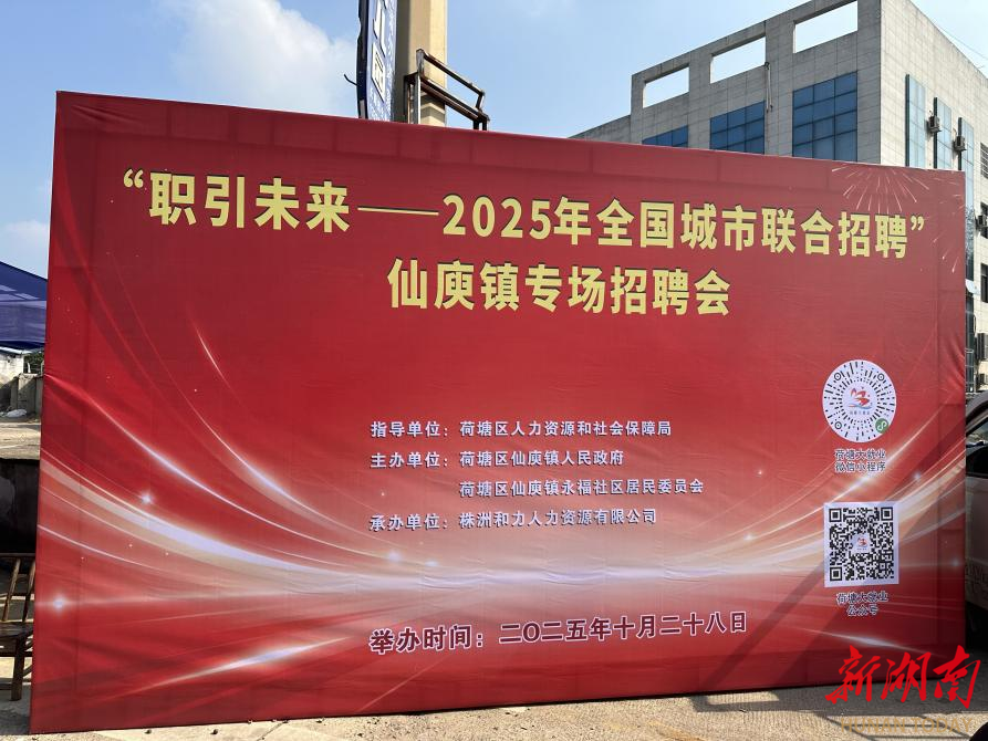 荷塘区仙庾镇开展“职引未来”——2025年全国城市联合专场招聘会
