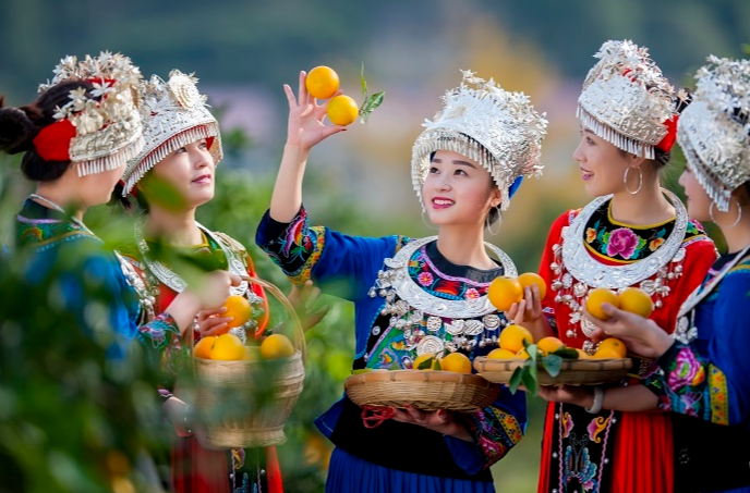 科技赋能实现全面升级！麻阳25万亩冰糖橙年产值破19亿元，出口怀化市第一