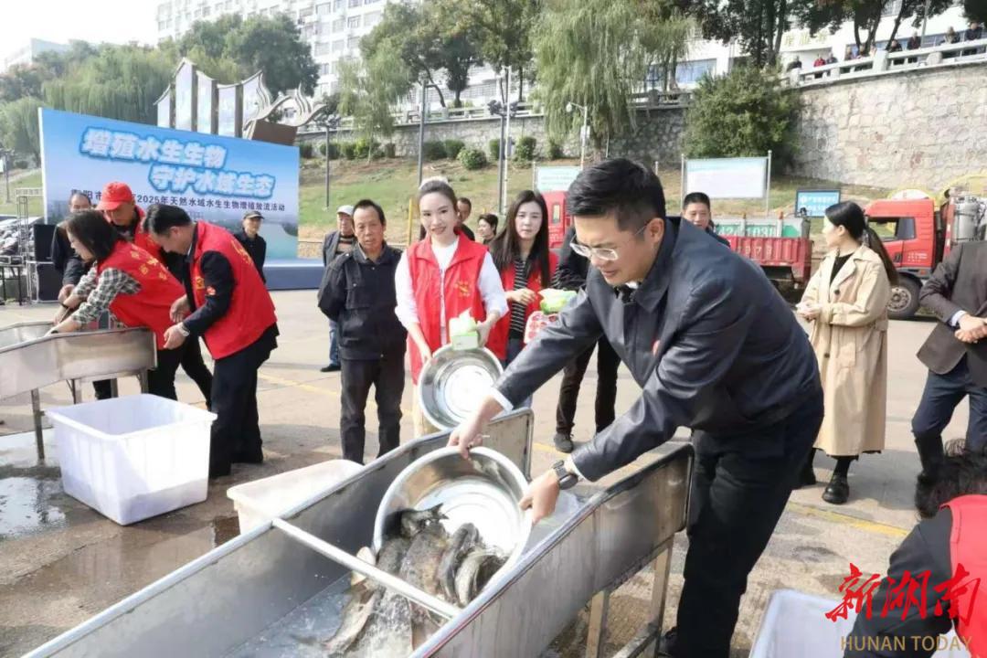 80万尾鱼苗游入湘江!雁峰区开展2025年水生生物增殖放流活动