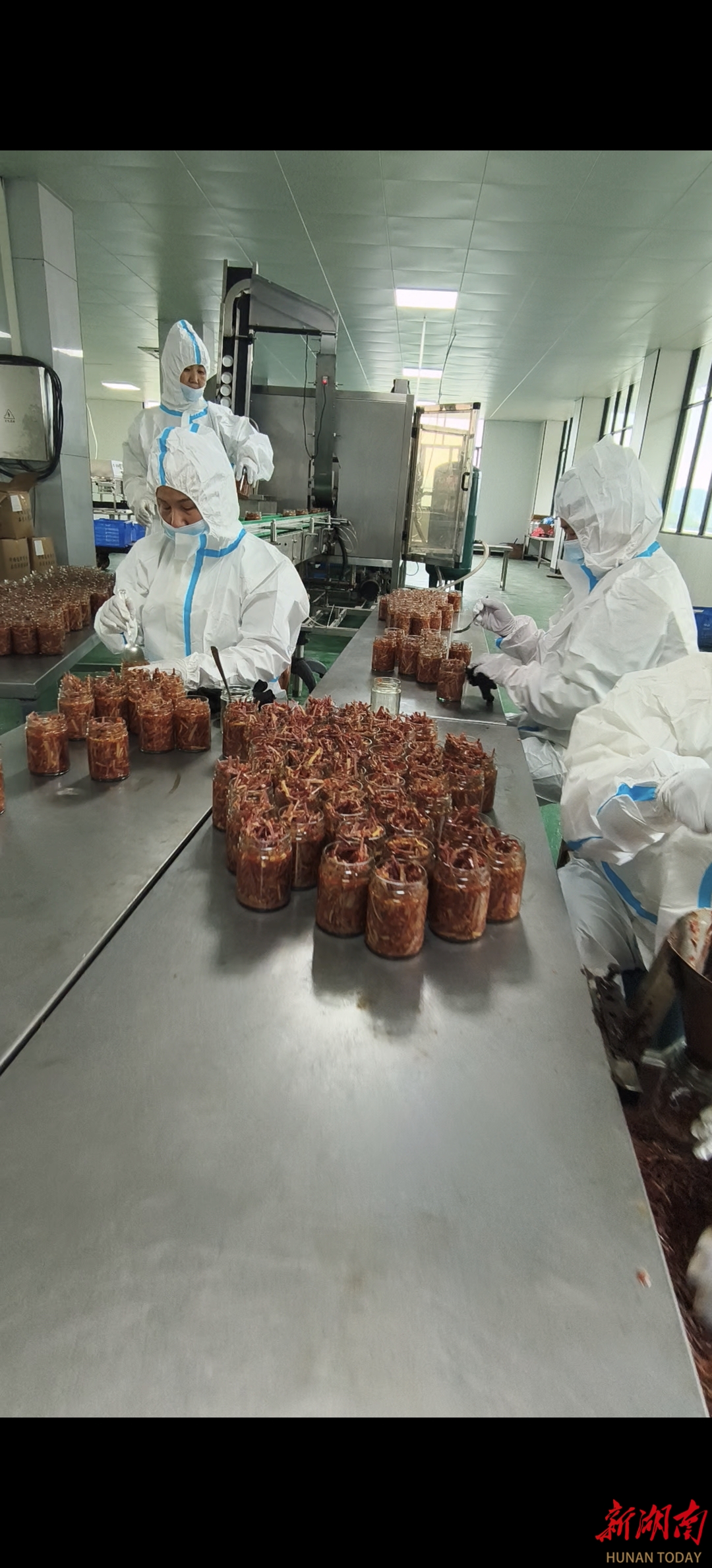 琴弦与酱香 三代人的匠心传承——记青年企业家周鑫