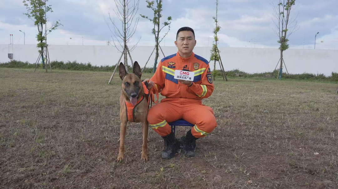 从“萌犬”到“猛犬”，搜救犬是怎样“炼”成的？