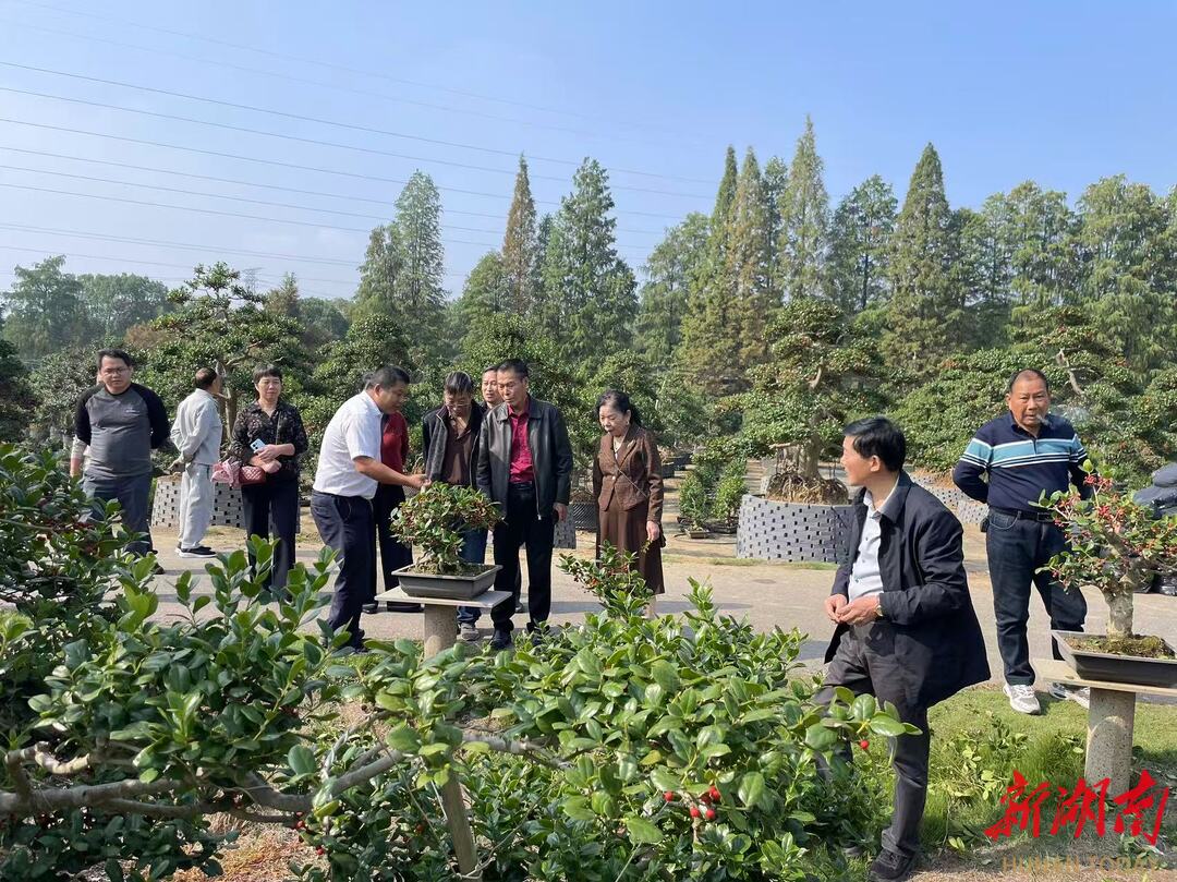 黎托街道：金秋话重阳 红色忆初心