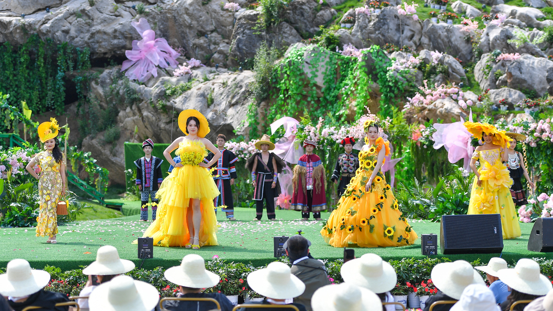 石榴同心⑩丨燃爆全城！桑植村模总决赛11月3日火热来袭