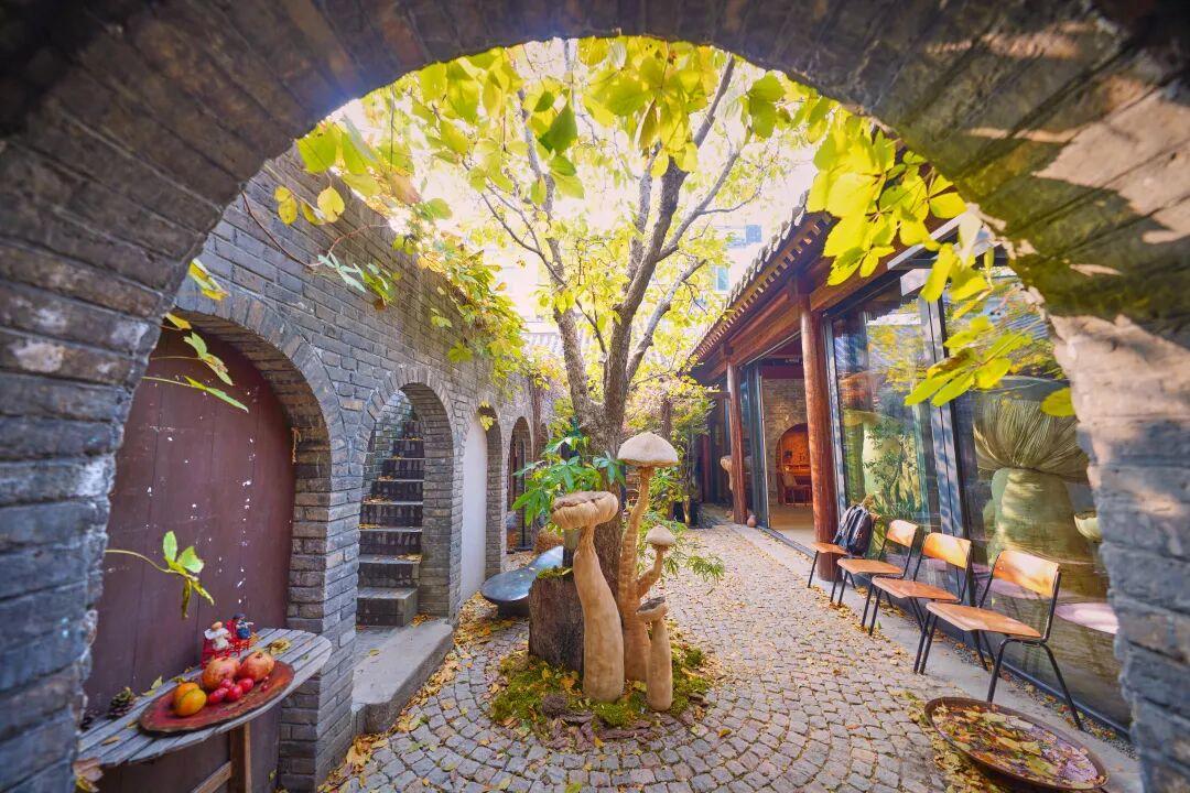 来北京东城这个胡同小院，邂逅蘑菇精灵的童话秘境