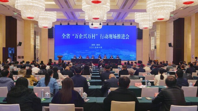 全省“万企兴万村”行动现场推进会在湘西州举行