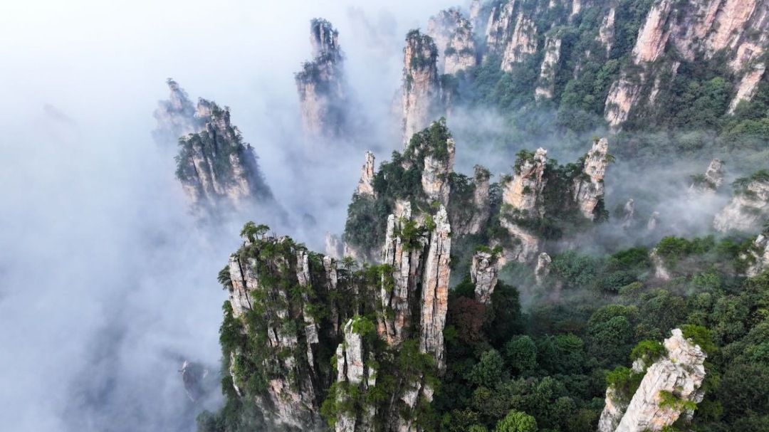 中国人民银行张家界市分行开展“守护钱袋子，幸福享晚年”金融知识宣传活动  