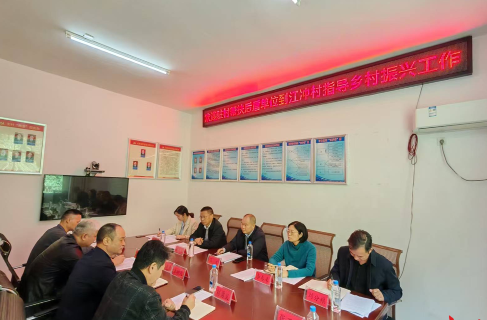 株洲市医保局党组书记张文一行在攸县鸾山镇江冲村调研乡村振兴工作