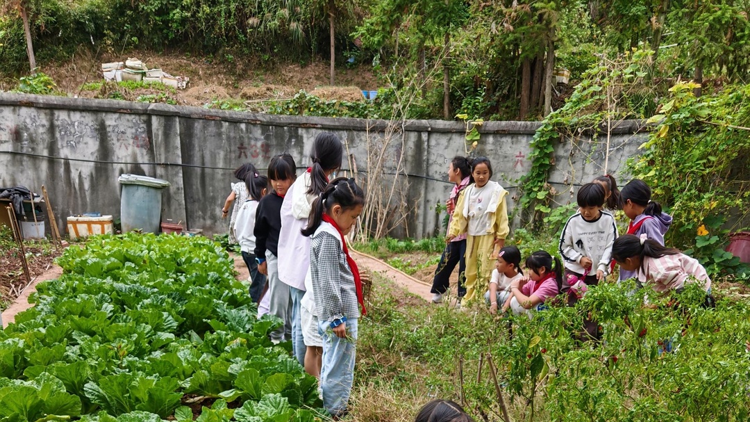 中方县花桥镇中心小学开展劳动教育活动