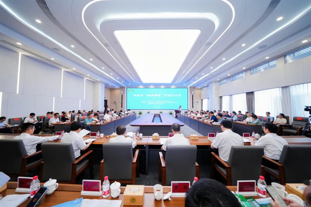 “湘林碳票”的多重价值与推广意义