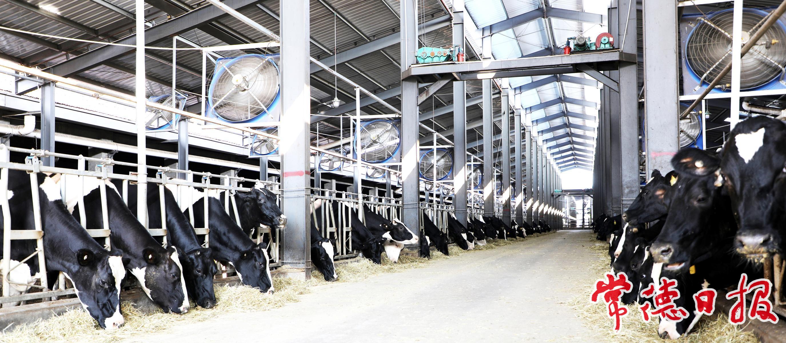 常德畜牧水产业绘就高质量发展新图景