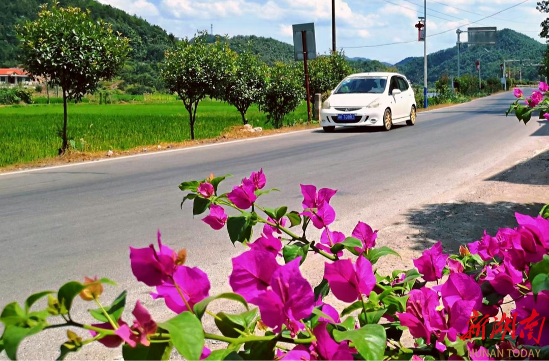 娄底基层发现|双峰县：“三色”彩笔绘水府@湖南日报