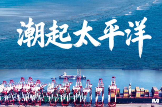 微视频｜潮起太平洋