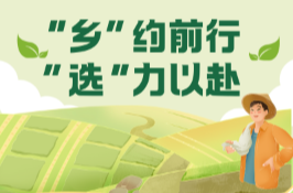 长图 |“乡”约前行 “选”力以赴