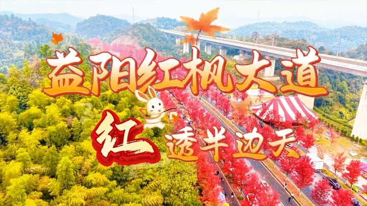 Look into my eyes！美到犯规的鱼形湖红枫大道，够不够成为你的秋日封面？