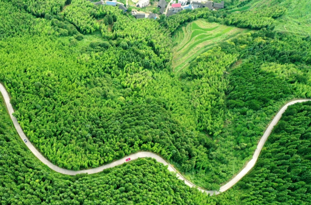 从十八洞村到“十八栋村”，山乡巨变从何而来？