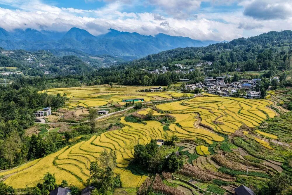 在发展中固安全，在安全中谋发展——论学习贯彻党的二十届四中全会精神