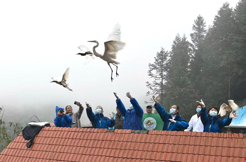 湘赣三市联动护鸟飞,为南迁候鸟筑起“安全防线”