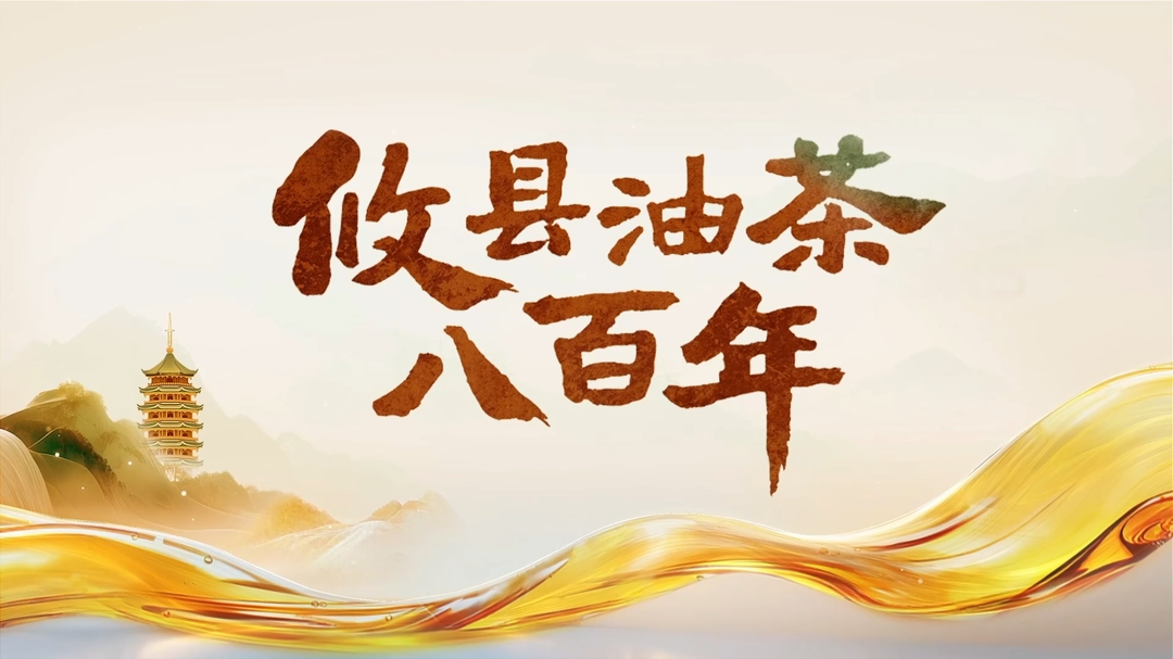 视频 | 攸县油茶八百年
