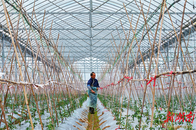 Farmers Busy with Field Management in Jiahe County