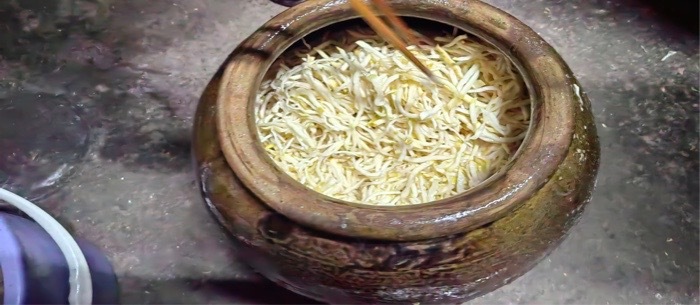 廖家村的大头菜