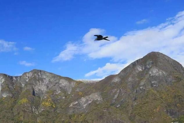 我已经输在起跑线，但不能输在终点线