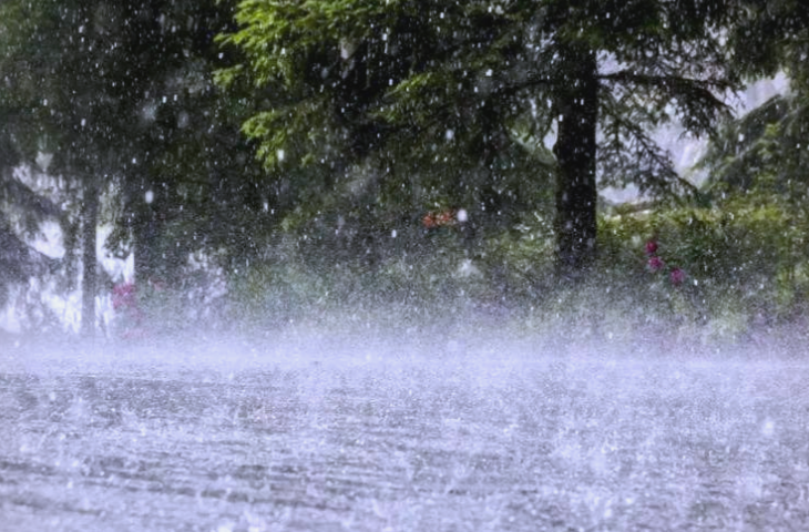 南方有暴雨大暴雨 湖南西部等地部分地区有中雨到大雨