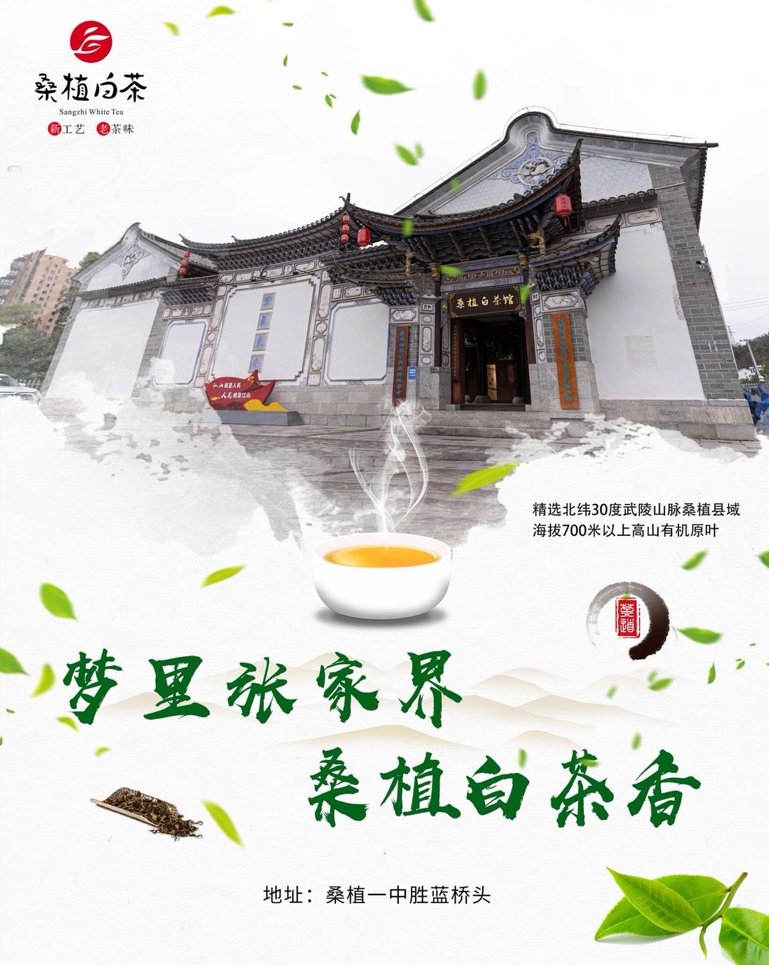 民族之花绽桑植⑰丨桑植县民族团结主题宣传片正式发布