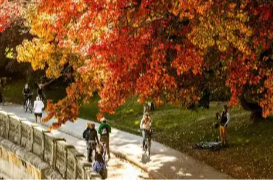 中国恢复赴加拿大团队游