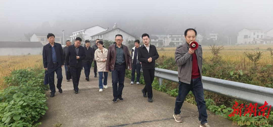 高标准农田建设后如何管护？秸秆如何综合利用？桃江县政协组织调研开“药方”