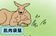 一种被低估的抗衰方法，不知道就亏大了！