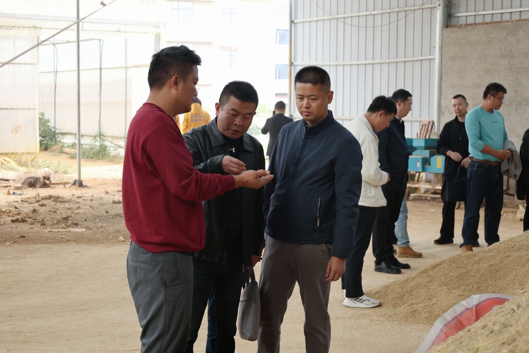 校地联动聚合力 重阳帮扶暖民心——湖南水电职院赴洞口县岩山村开展乡村振兴志愿服务