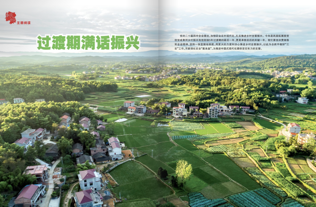 过渡期满话振兴