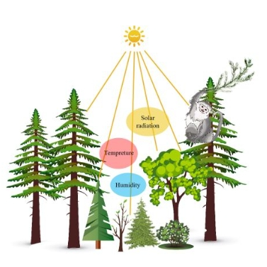 研究发现滇金丝猴是“生态工程师”