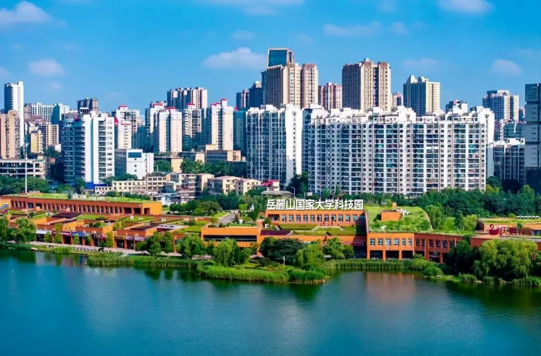 跻身“国家队”！长沙这个百亿集群“破圈”有道