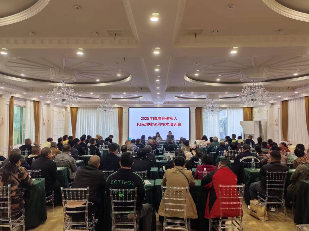 临澧县举办残疾人阳光增收培训班