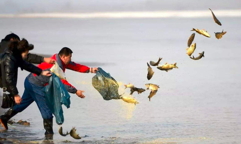 观点 | 别让野外放生变为杀生