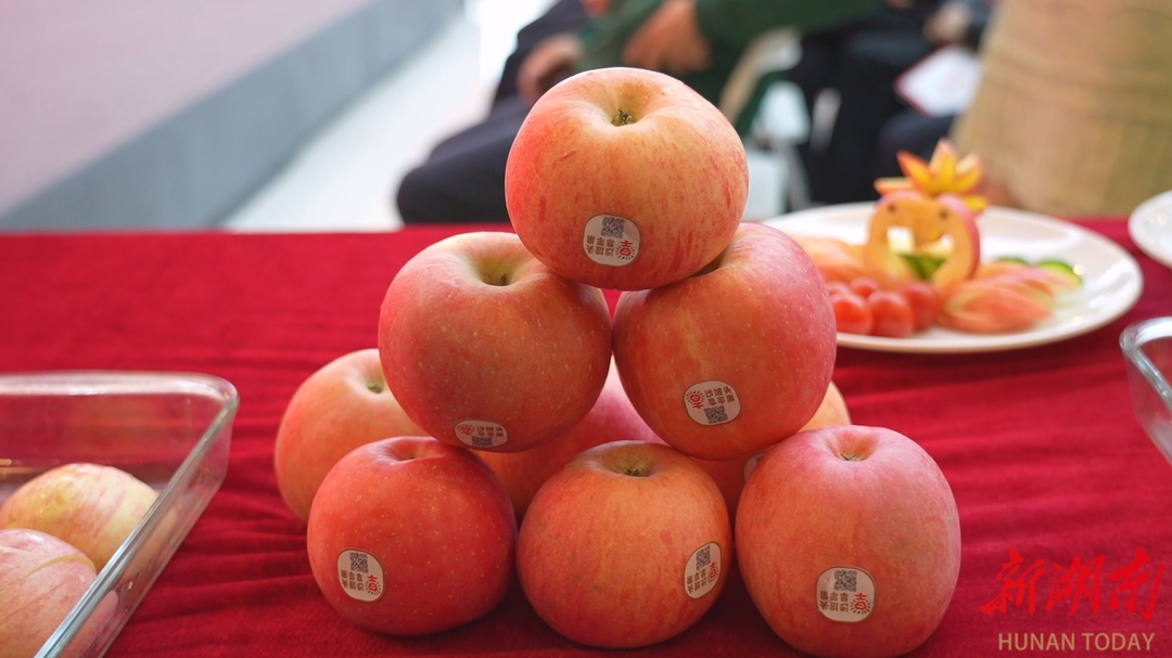 佳惠集团携沙坡头旱苹果入怀  直销模式架起助农桥梁