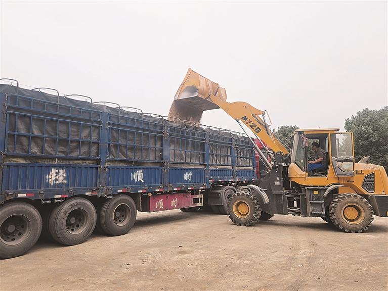 侧记｜桂阳县33万亩晚稻颗粒归仓