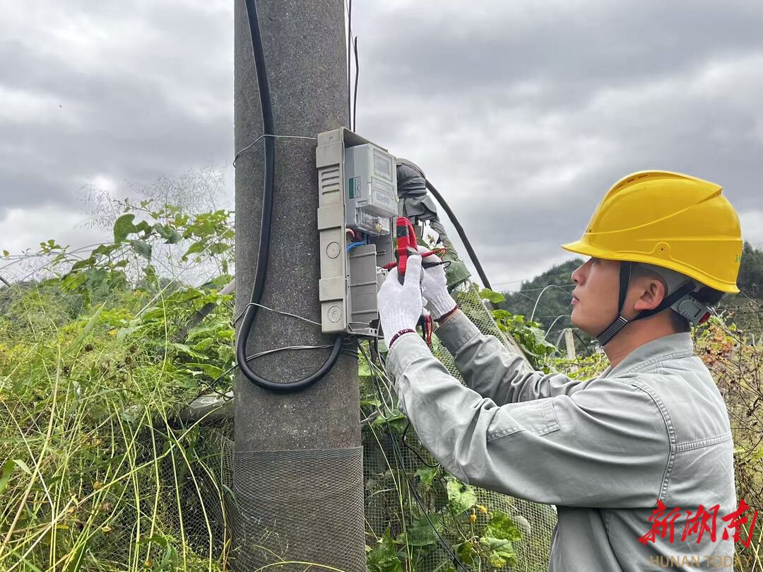 国网会同县供电公司：精准电力服务 护航“甜蜜产业”