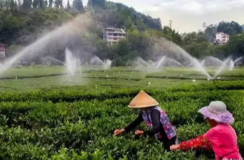 文化铸魂 绿色崛起——湘西州“十四五”高质量发展速写