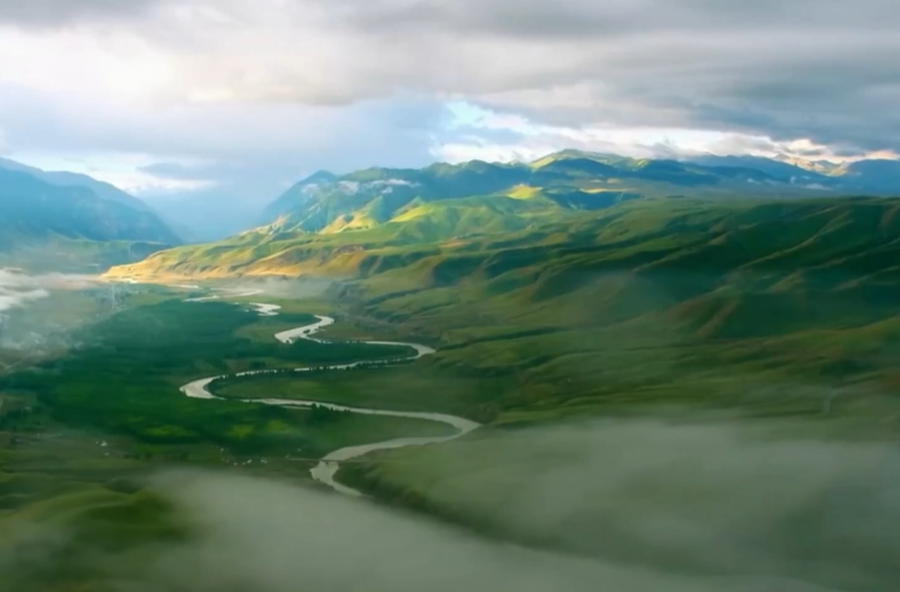 “十五五”时期，生态环境领域的重点着力方向是什么？专家解读