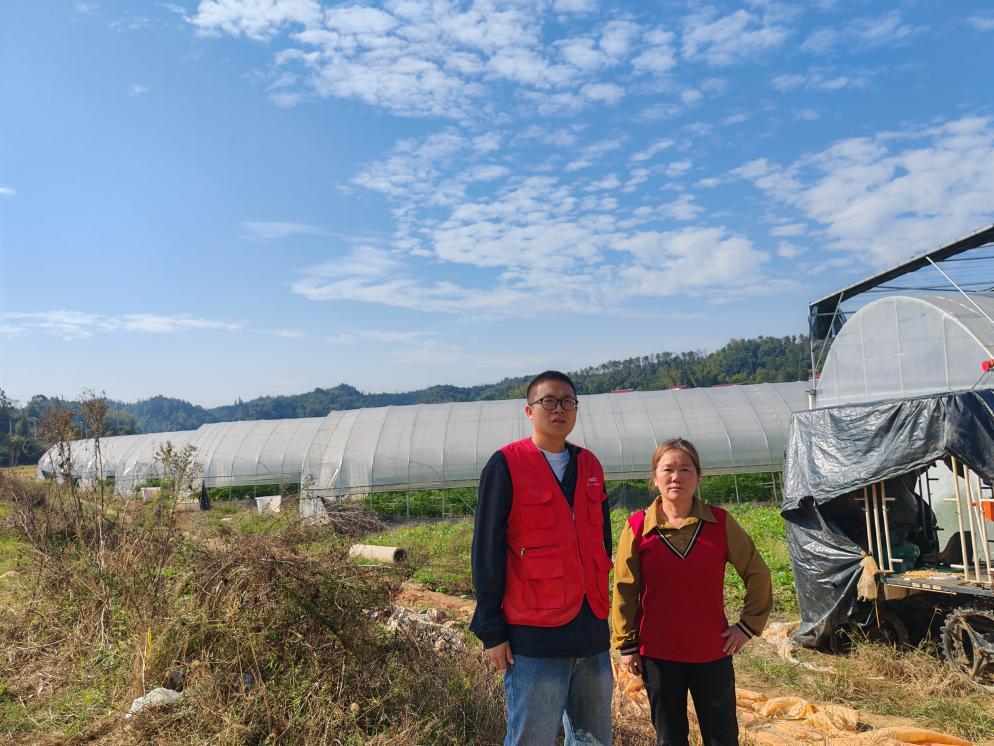 人保财险签发湖南首单巨灾大棚设施保险