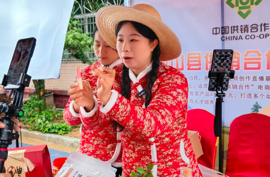 衡山县：就业创业服务进乡村，手把手传授“带货经”