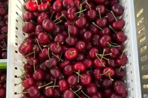 价格大跳水，暴跌50%！很多长沙人爱吃，预计还要跌……